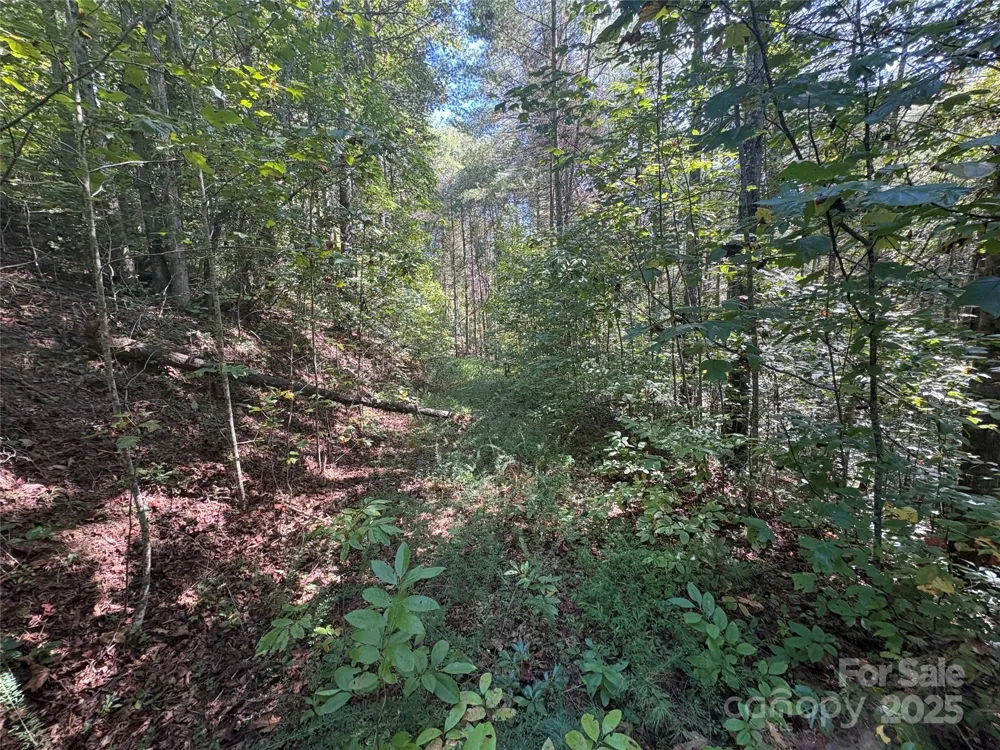 000 National Forest Drive Lenoir, NC 28645