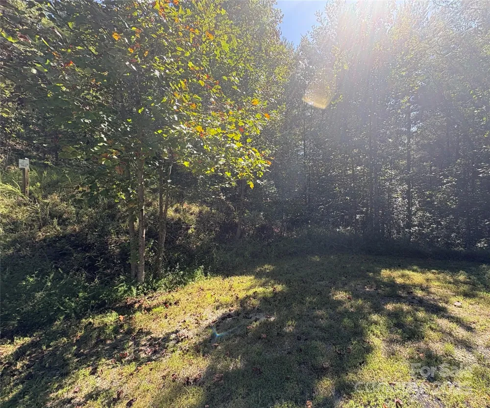 000 National Forest Drive Lenoir, NC 28645