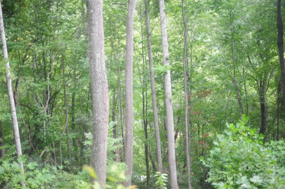 9 Wood Haven Lane #108 Black Mountain, NC 28711