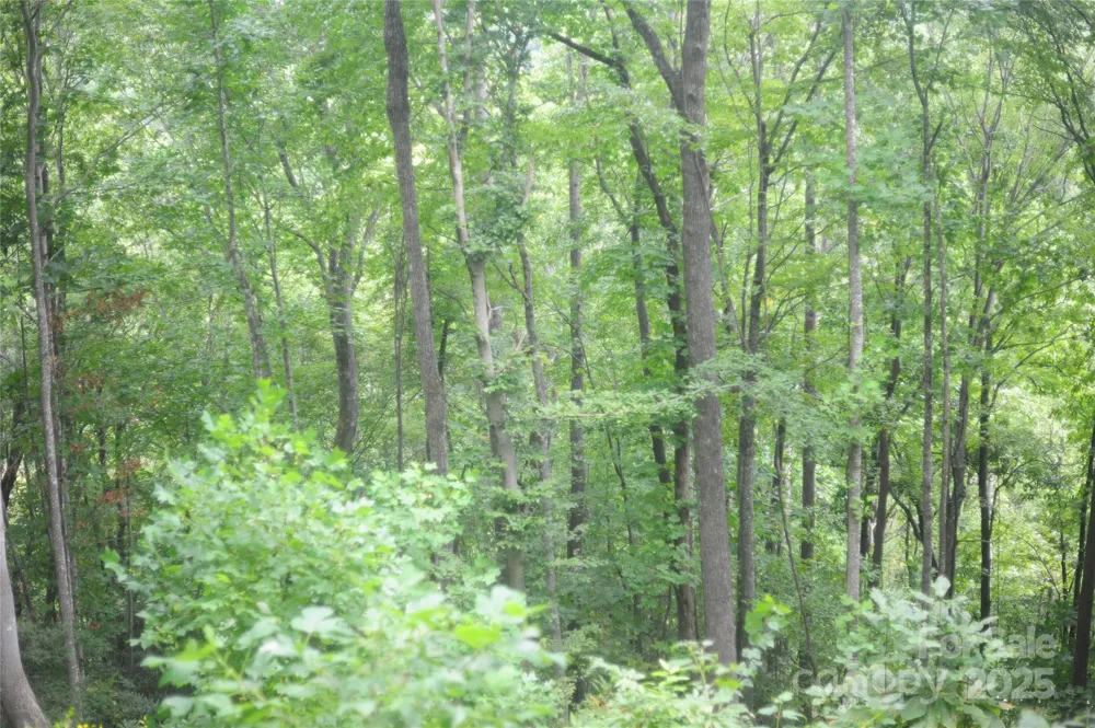 9 Wood Haven Lane #108 Black Mountain, NC 28711