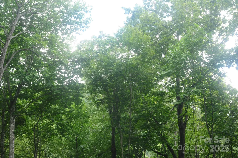 9 Wood Haven Lane #108 Black Mountain, NC 28711