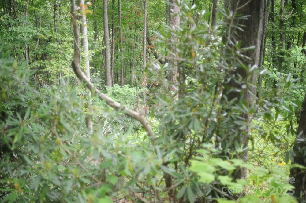 9 Wood Haven Lane #108 Black Mountain, NC 28711