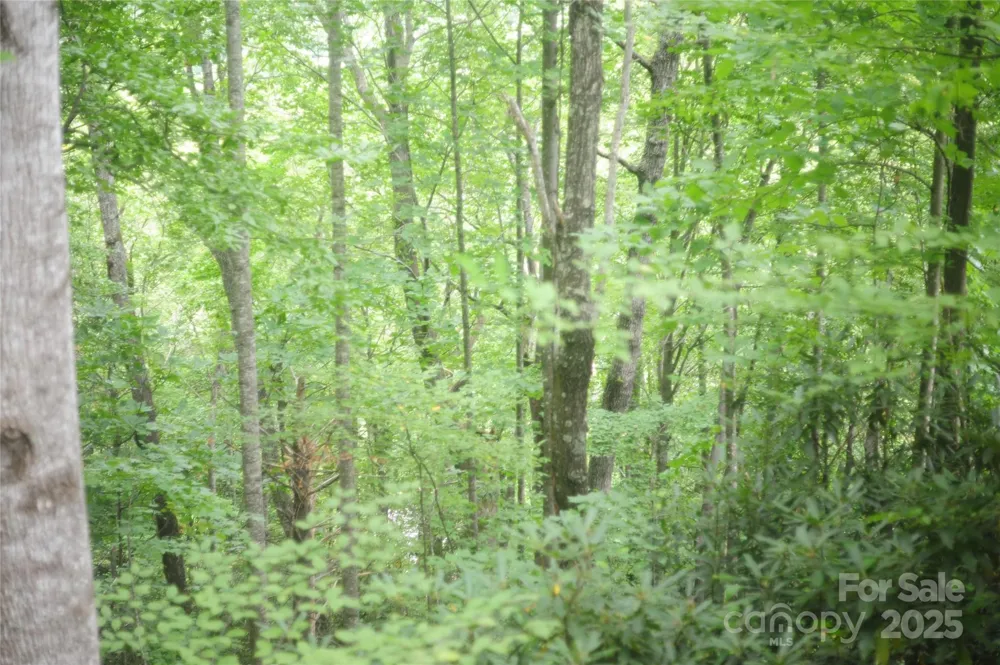 9 Wood Haven Lane #108 Black Mountain, NC 28711
