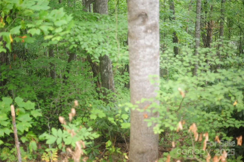 9 Wood Haven Lane #108 Black Mountain, NC 28711