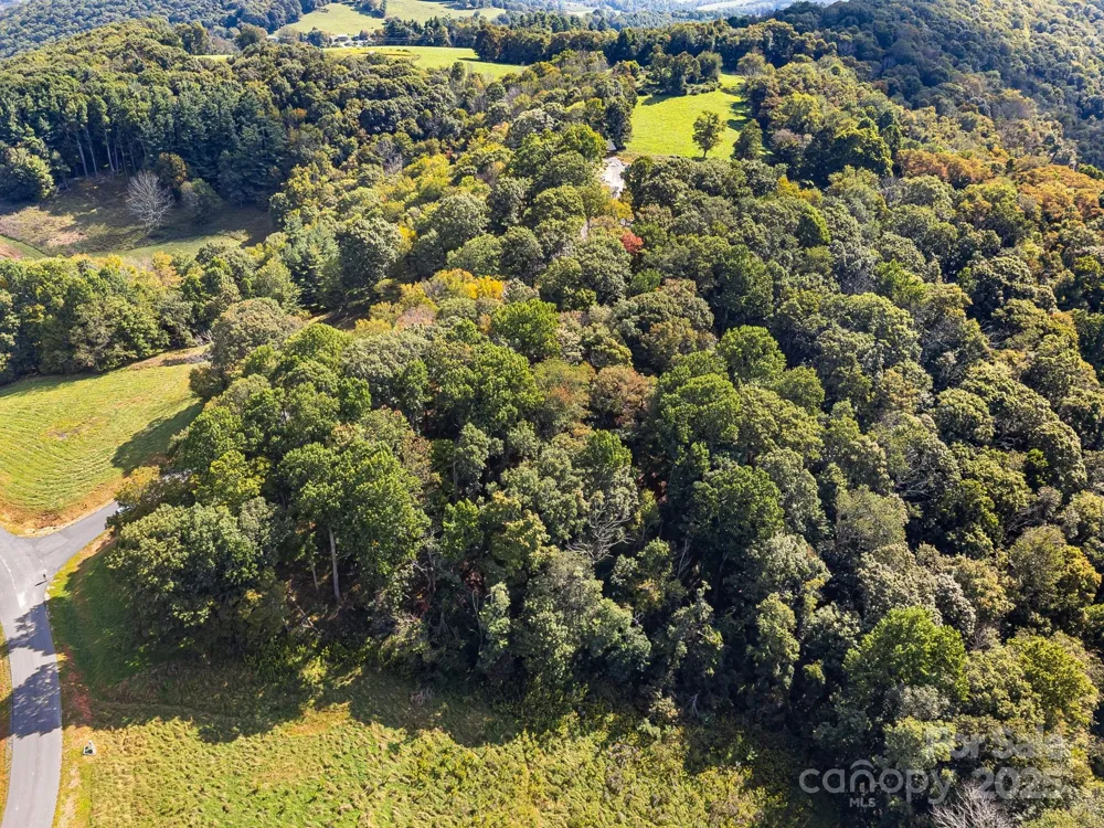 #62 Poplar Forest Drive Boone, NC 28607