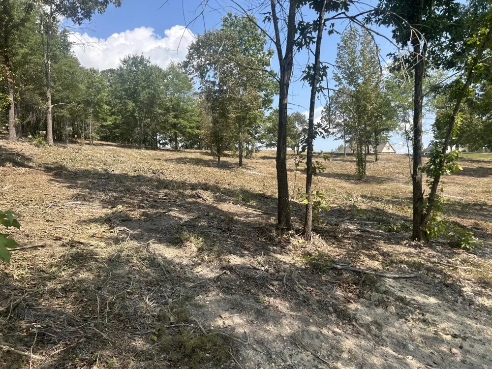 9 Stonegate Place Cohutta, GA 30710