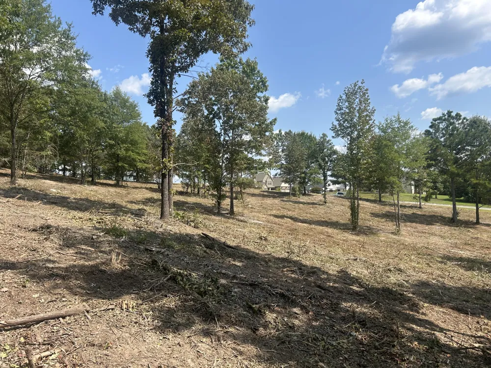 9 Stonegate Place Cohutta, GA 30710