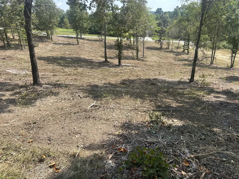 9 Stonegate Place Cohutta, GA 30710