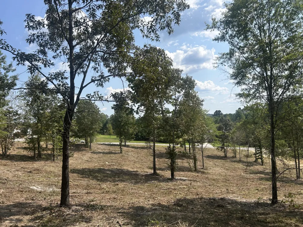 9 Stonegate Place Cohutta, GA 30710