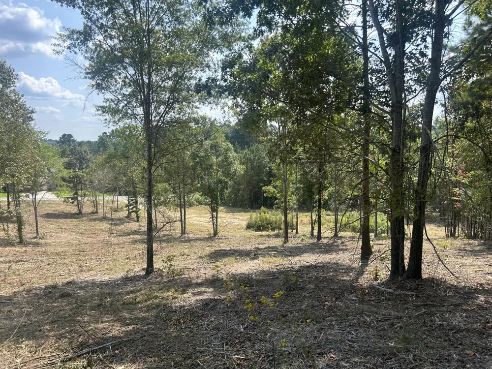 9 Stonegate Place Cohutta, GA 30710