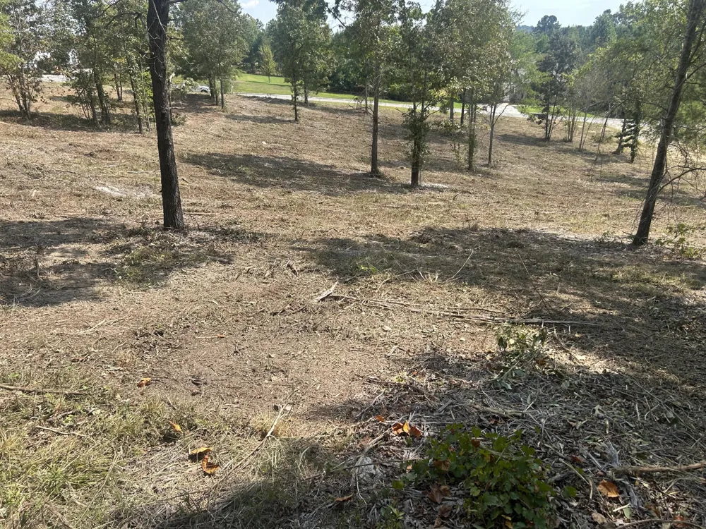 9 Stonegate Place Cohutta, GA 30710