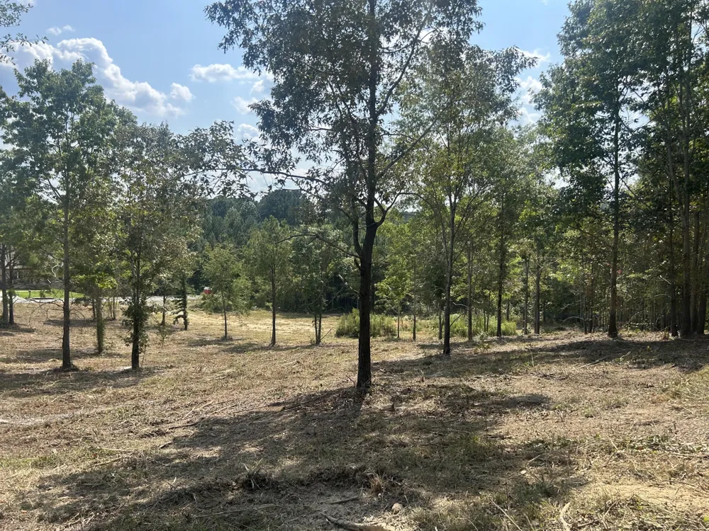 9 Stonegate Place Cohutta, GA 30710
