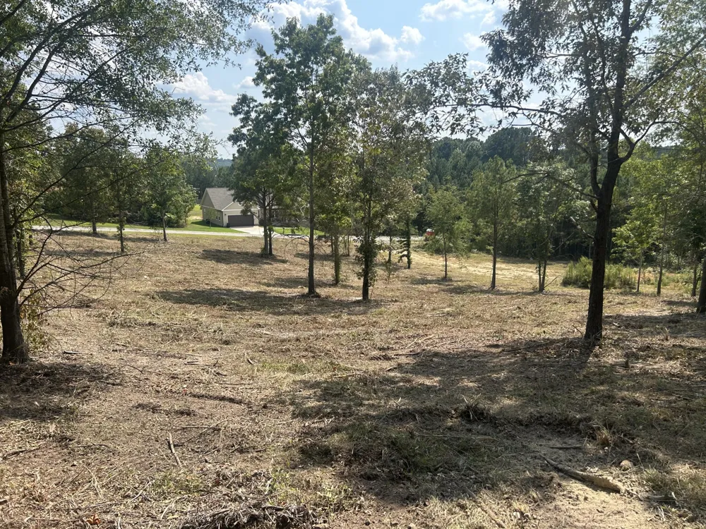 9 Stonegate Place Cohutta, GA 30710