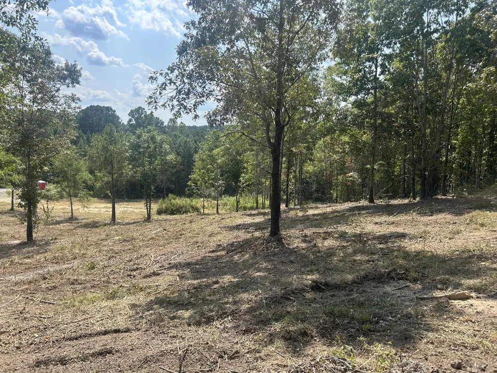 9 Stonegate Place Cohutta, GA 30710