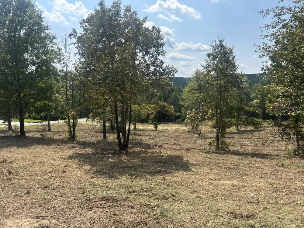 9 Stonegate Place Cohutta, GA 30710