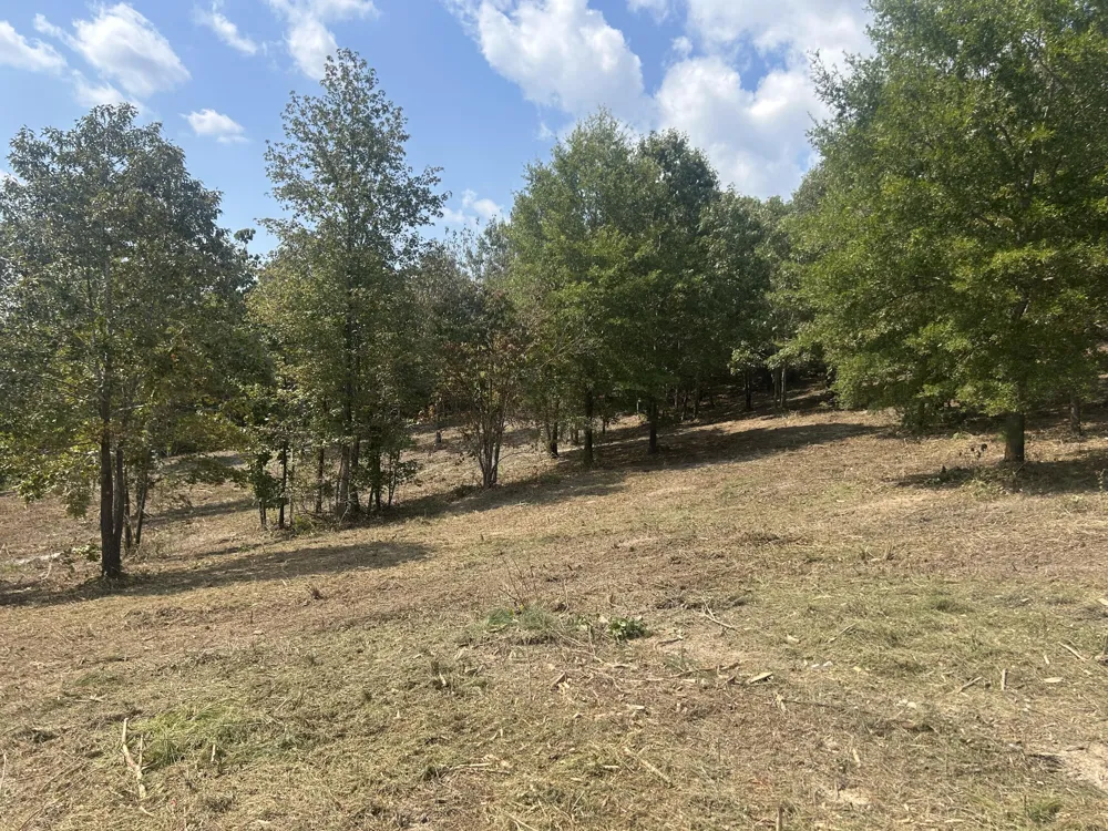 9 Stonegate Place Cohutta, GA 30710