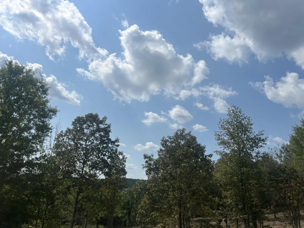 9 Stonegate Place Cohutta, GA 30710