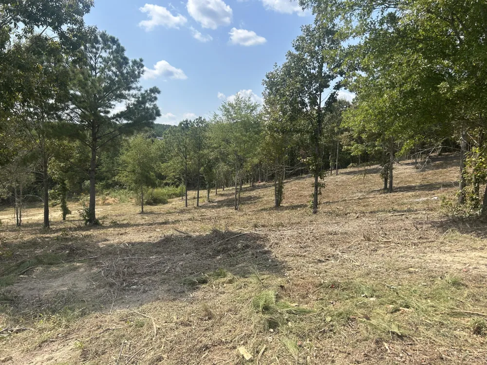 9 Stonegate Place Cohutta, GA 30710