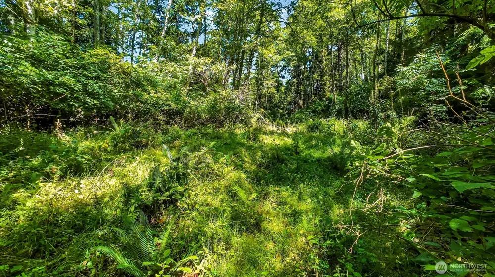 5001 Fourth Avenue SW Ilwaco, WA 98624