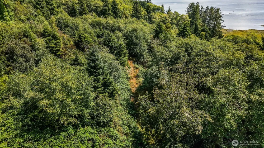 0 Fourth Avenue SW Ilwaco, WA 98624
