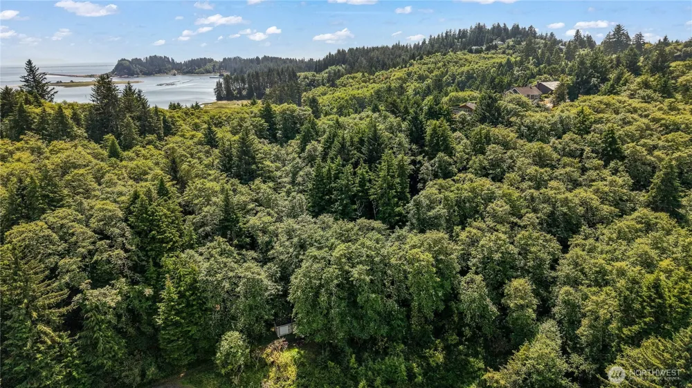 6001 Fourth Avenue SW Ilwaco, WA 98624