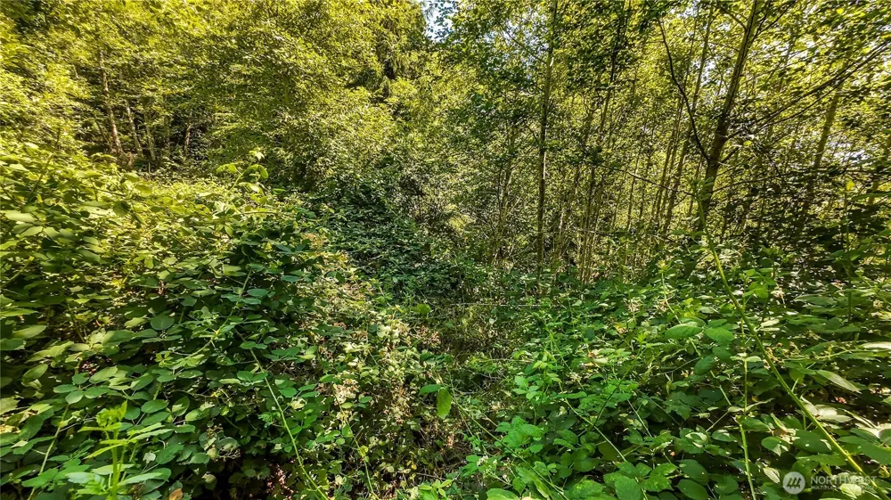 6001 Fourth Avenue SW Ilwaco, WA 98624