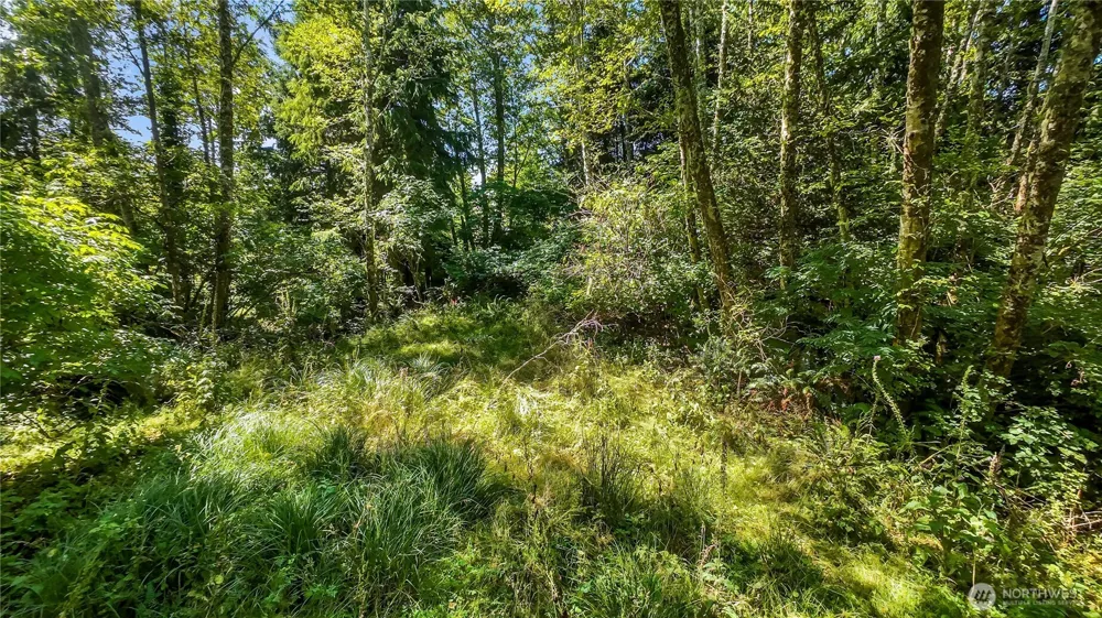 6001 Fourth Avenue SW Ilwaco, WA 98624