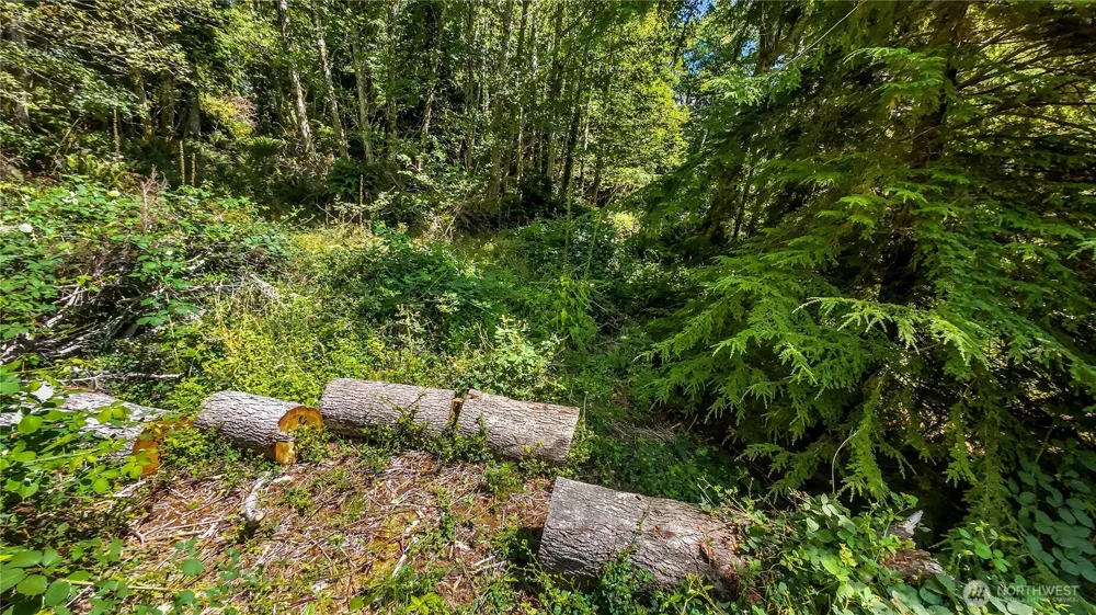 4001 Fourth Avenue SW Ilwaco, WA 98624