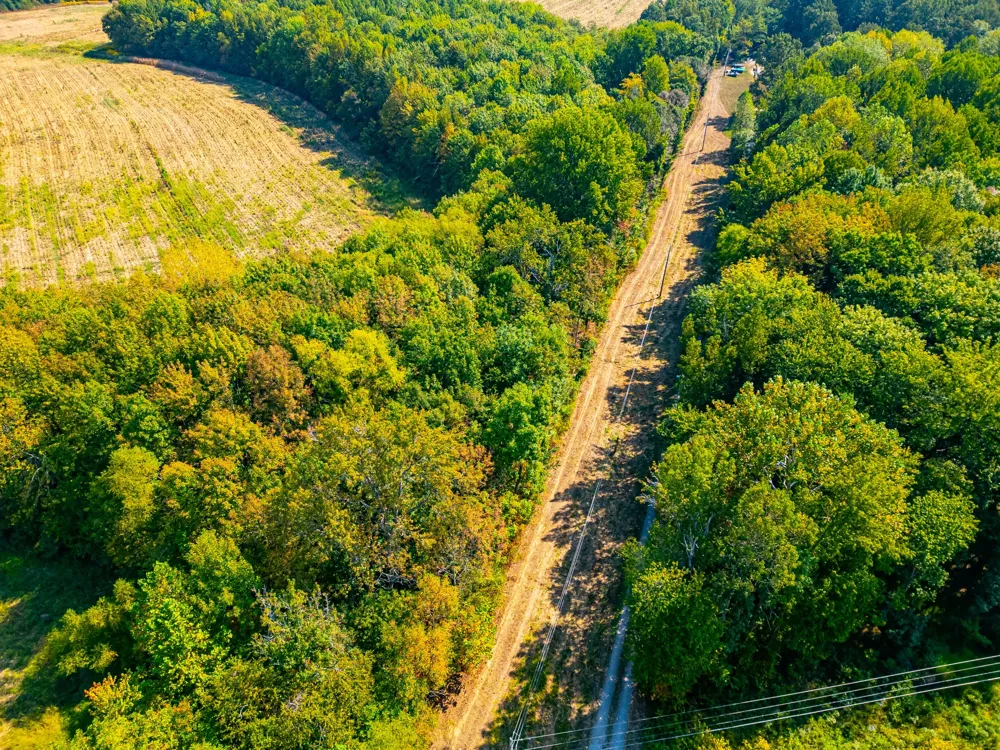 648 Scattersville Rd Portland, TN 37148