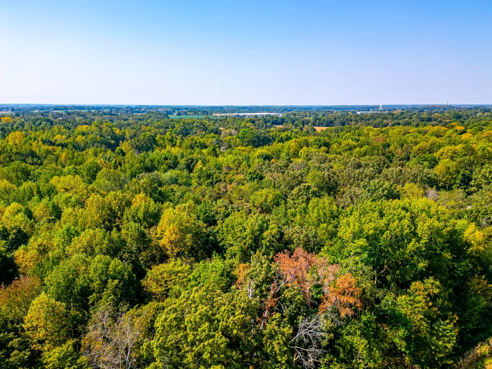 648 Scattersville Rd Portland, TN 37148