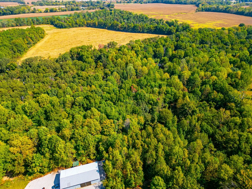 648 Scattersville Rd Portland, TN 37148