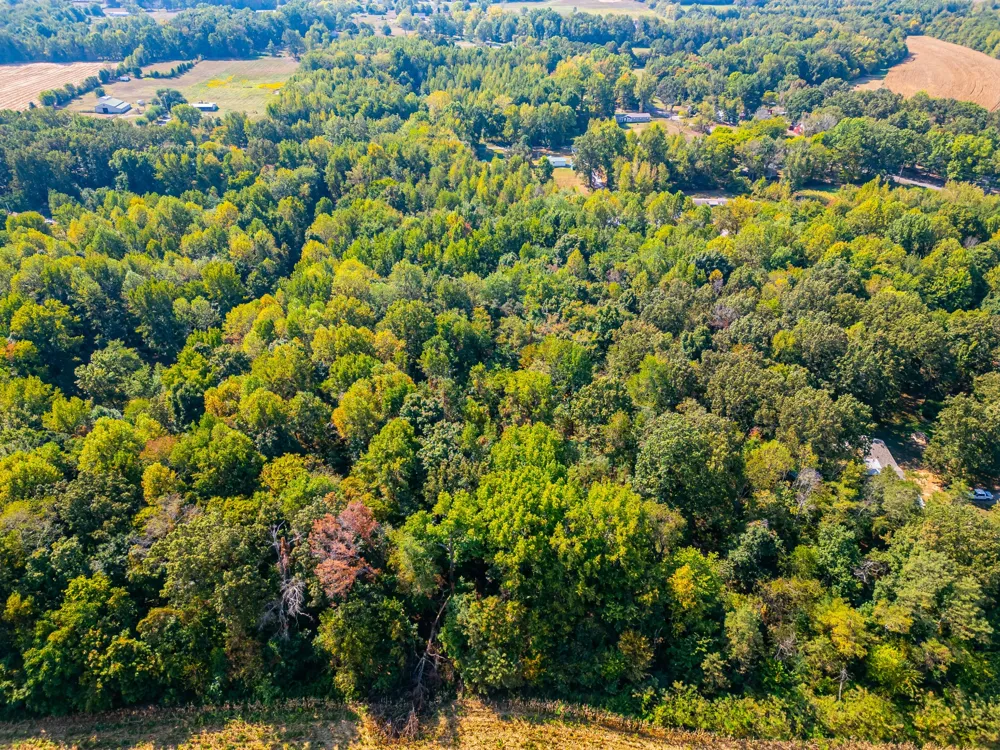 648 Scattersville Rd Portland, TN 37148