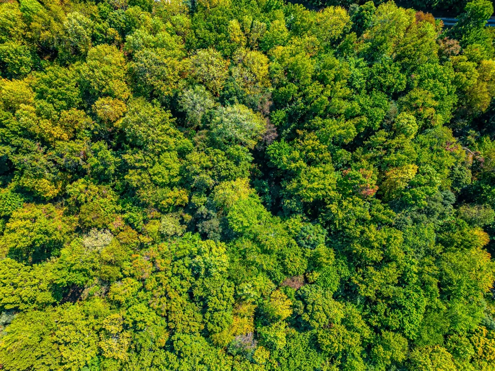 648 Scattersville Rd Portland, TN 37148