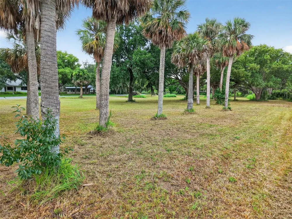 AMVETS WAY Mount Dora, FL 32757