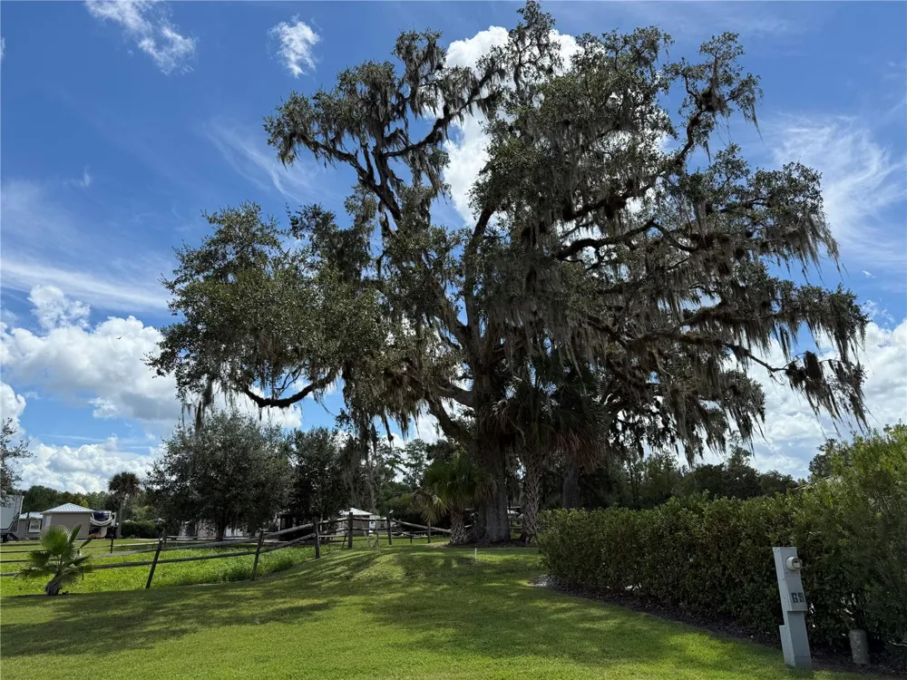 10264 NE 28TH LOOP Silver Springs, FL 34488