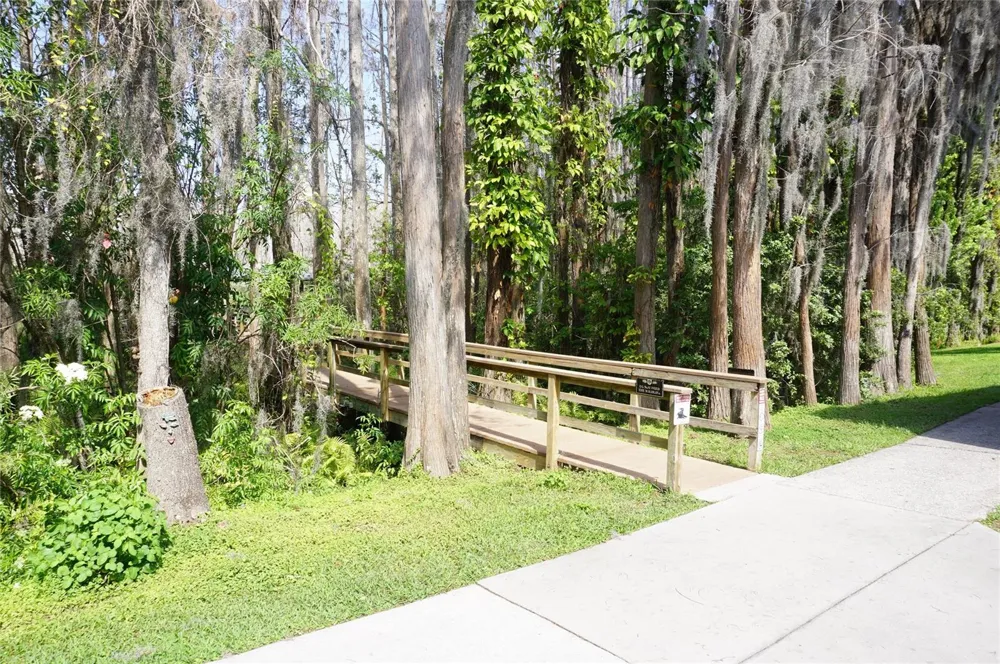 20893 HAULOVER COVE #8 Lutz, FL 33558