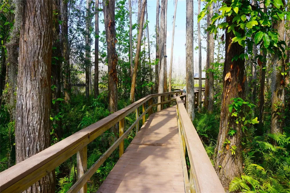 20893 HAULOVER COVE #8 Lutz, FL 33558