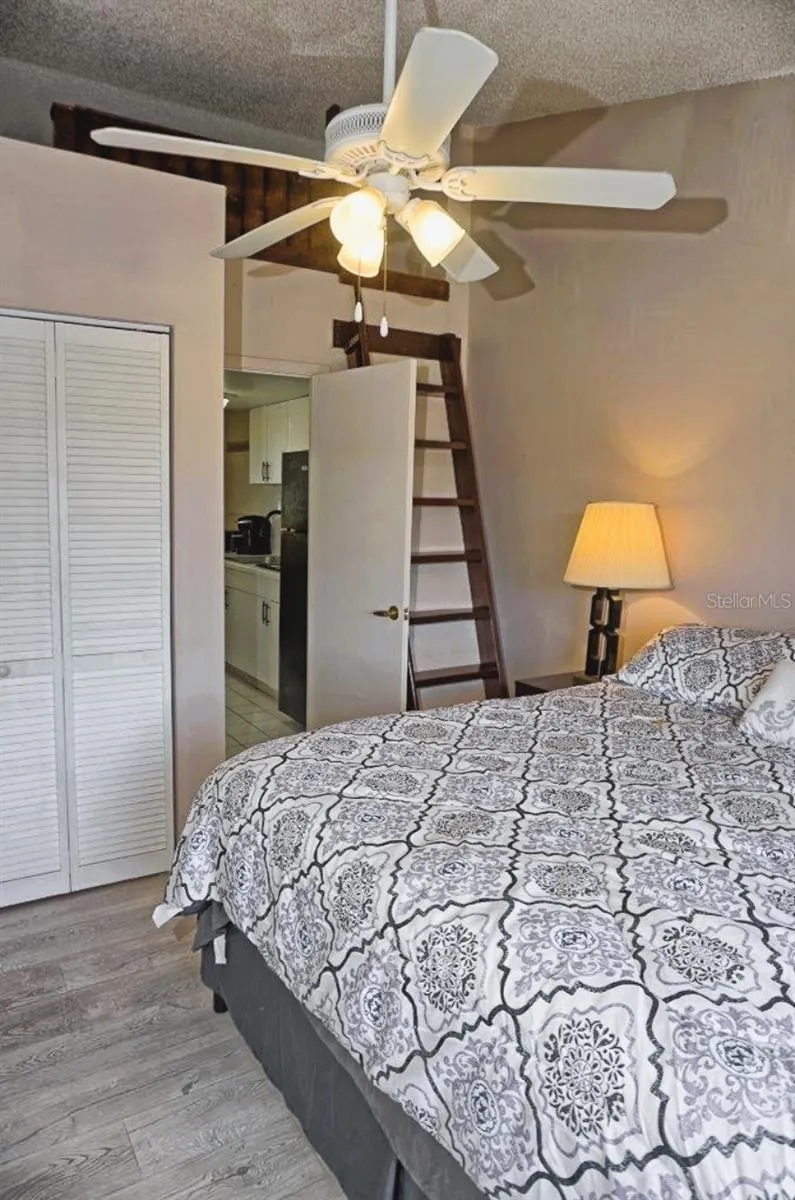 20893 HAULOVER COVE #8 Lutz, FL 33558