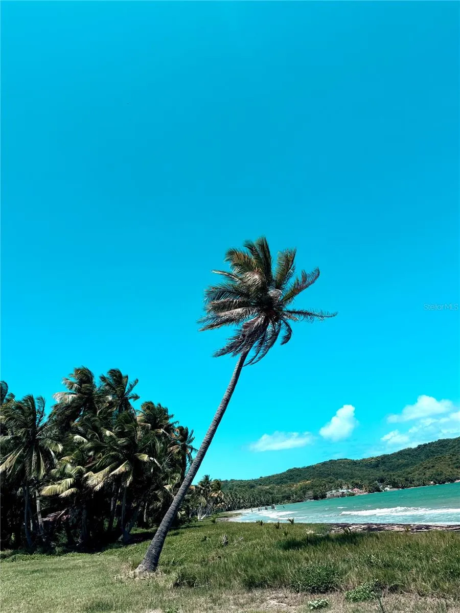 KM 5.0 906 Yabucoa, PR 00767