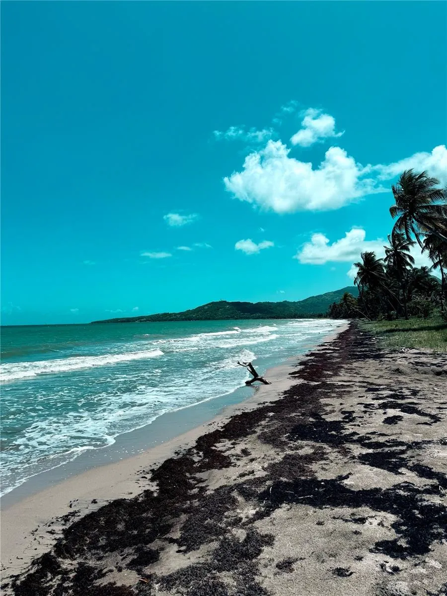 KM 5.0 906 Yabucoa, PR 00767