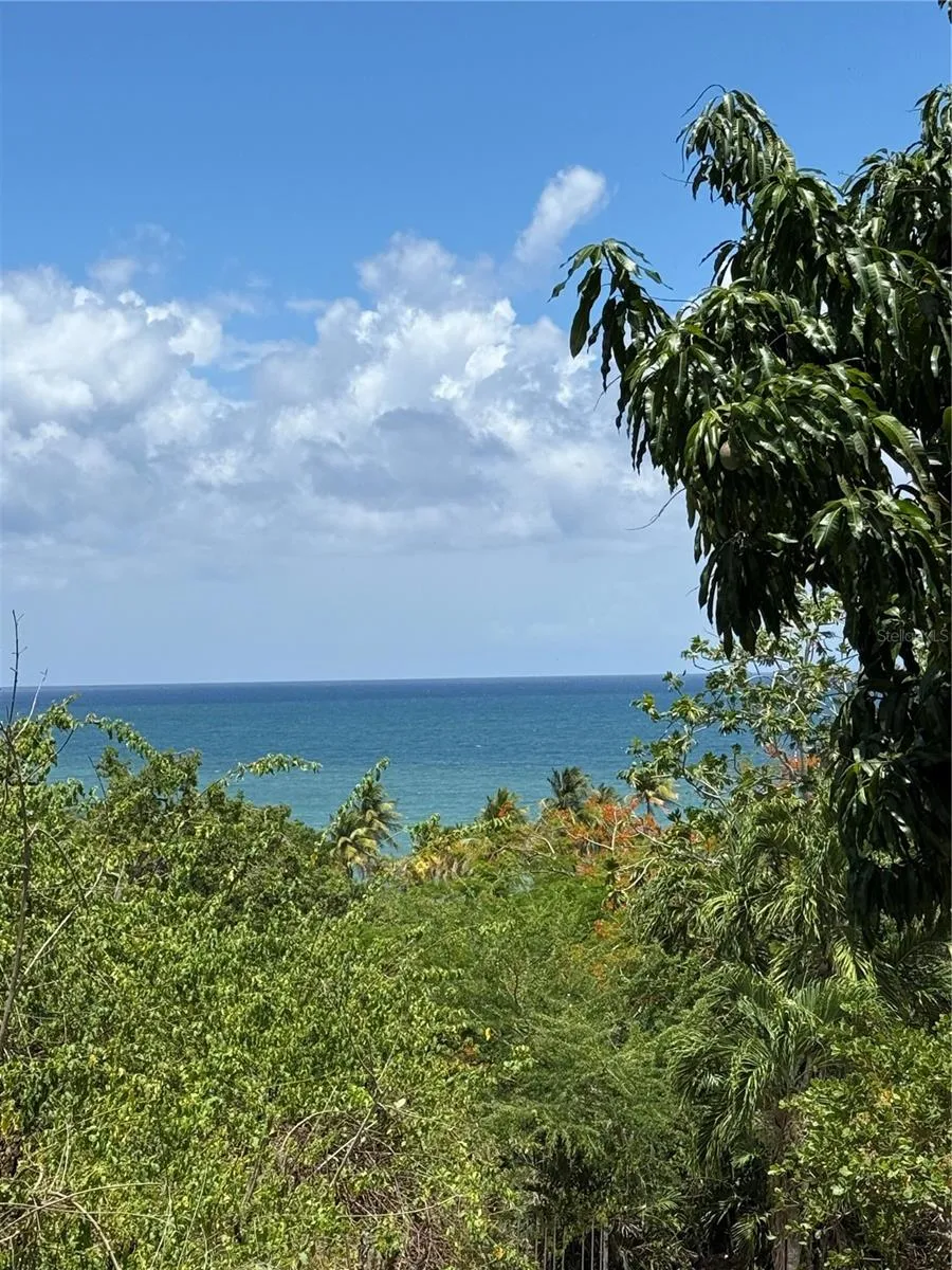 KM 5.0 906 Yabucoa, PR 00767