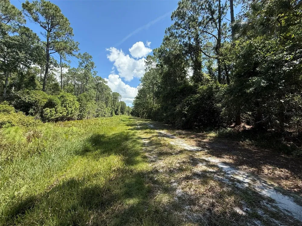 210 SE 2ND STREET Georgetown, FL 32139