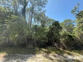 337 PALM WAY Georgetown, FL 32139