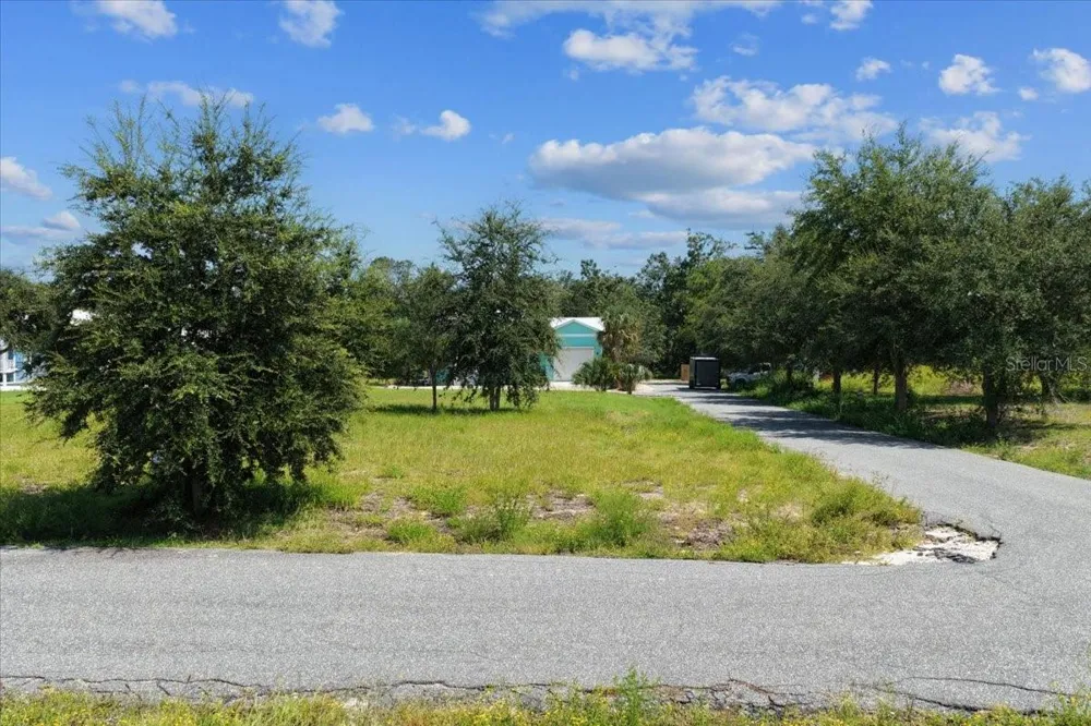 0 SW 869TH LOOP Steinhatchee, FL 32359