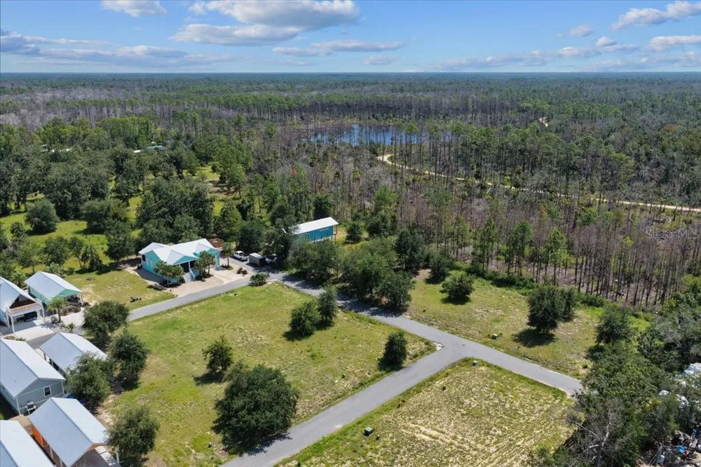 0 SW 869TH LOOP Steinhatchee, FL 32359