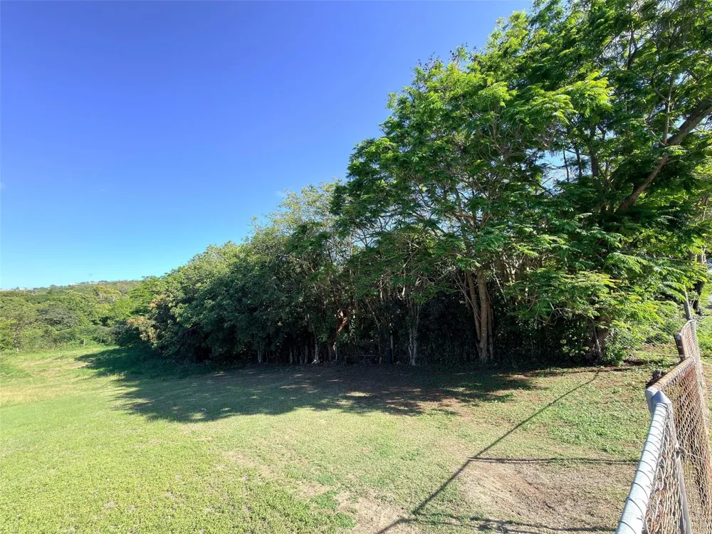 PR 38 Vieques, PR 00765