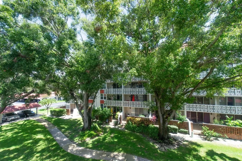 2612 PEARCE DRIVE #310 Clearwater, FL 33764