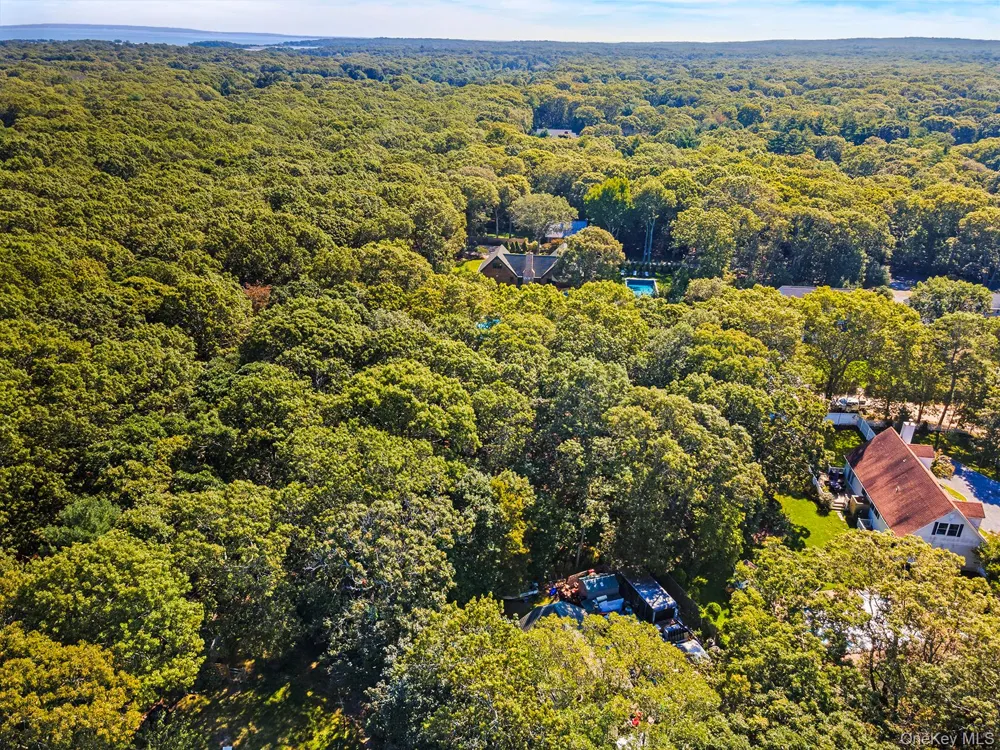 4 Calvin Street East Hampton, NY 11937