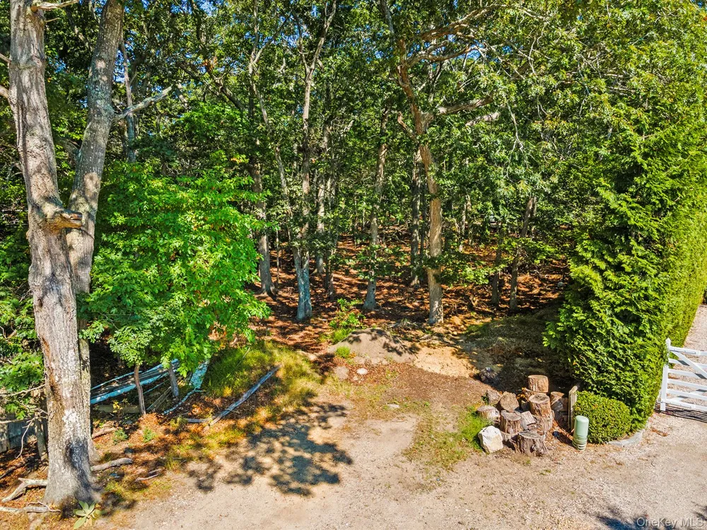 4 Calvin Street East Hampton, NY 11937