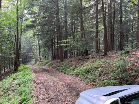 Hood Road